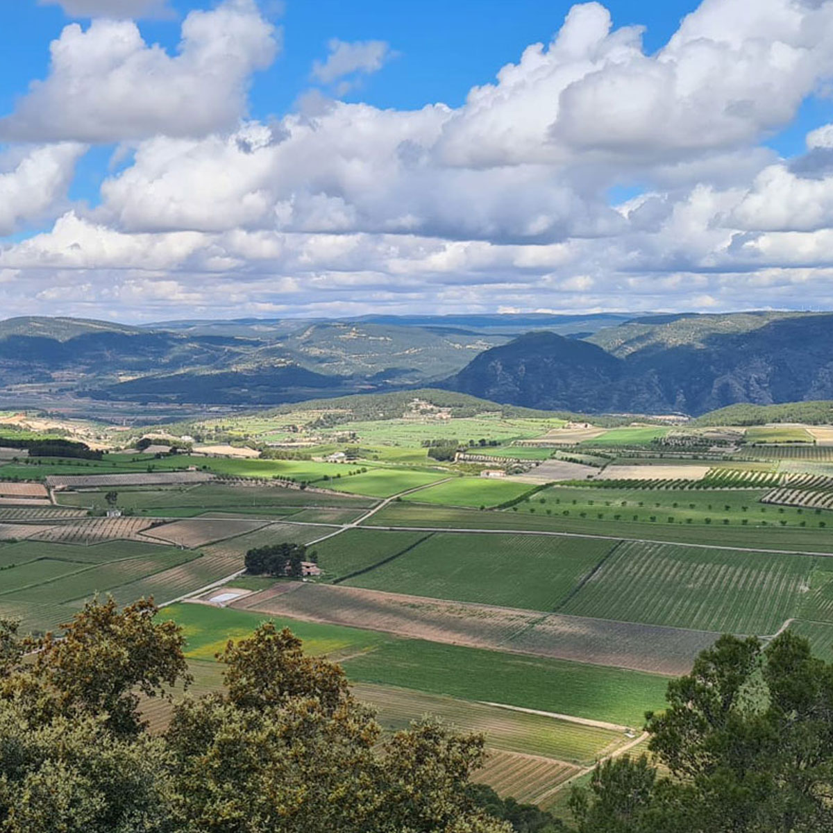 Turismo rural La Costera